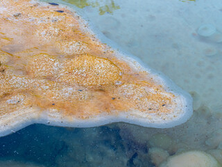 Limestone and algae plaques in hot springs
