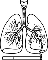 Healthy Lung and Smoker's Lung for Coloring. The effect of smoking on the human respiratory system. Lungs cancer. Vector Illustration of Human Internal Organs