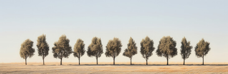 Row of Trees in Field, Natures Serene Beauty Captured in One Frame