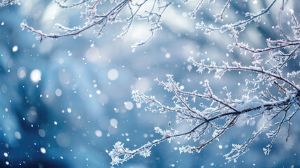 Frost-Kissed Branches Amidst Serene Snowfall