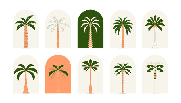 Palm tree thin line icon abstract design summer logo template modern minimal linear emblem for vacations rentals and travel services. Vector illustration