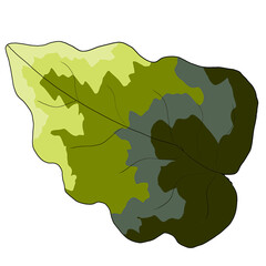 illustration of a leaf