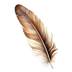 A brown and white feather on a white background, vintage illustration