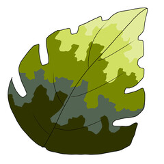 illustration of a leaf