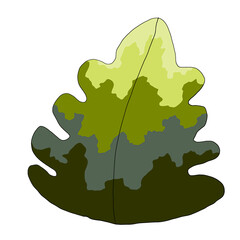 illustration of a leaf