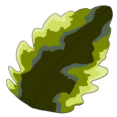 illustration of an leaf