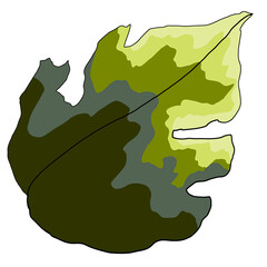 illustration of a green leaf