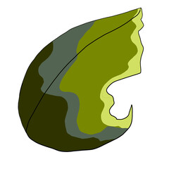 illustration of a green leaf