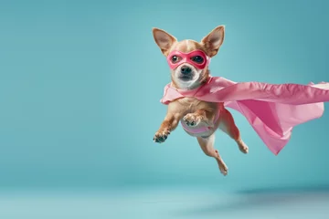 Deurstickers Super Dog. Funny puppy wearing superhero costume looking awa on empty space. Isolated on blue background. funny super dog flying © Nataliia_Trushchenko