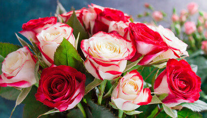 bouquet of red-white roses close up; beautiful floral rose background