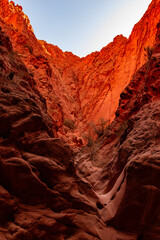 Quebrada de las señoritas, Jujuy, Argentina.