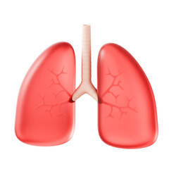 Lungs 3d illustration
