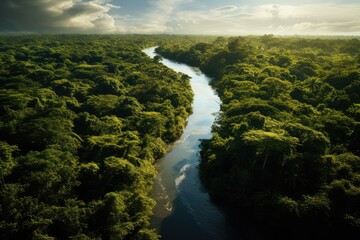 Amazon river drone photography