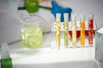 Close up of avocado, cucumber, kiwi, orange and tomato tissue in test tube or glassware. Cosmetic...