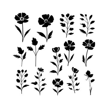 Beautiful violet flower silhouette. Cute icon of violet flower and vector illustration
