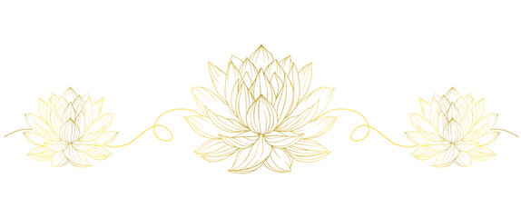 Golden lotus line art style vector illustration