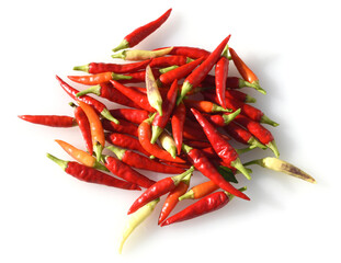 Chili, Capsicum,