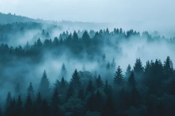 Photo sur Aluminium Forêt dans le brouillard Blue misty pine tree forest 