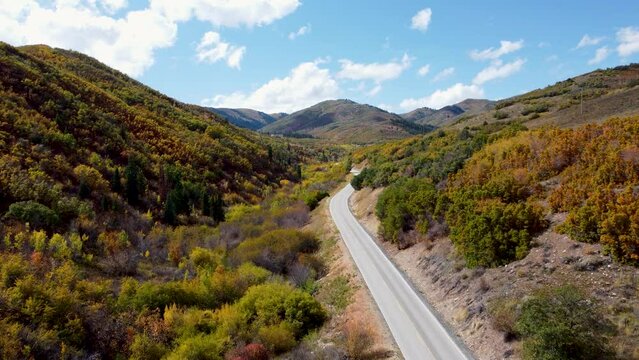 Fall Colors Emigration Canyon Utah