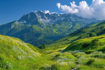Obraz premium , Tyrol, Scenic view towards Kellerjoch and Kuhmesser in summer