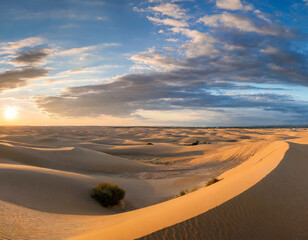 Fototapeta na wymiar Panorama of desert with sand dunes against the dramatic sky