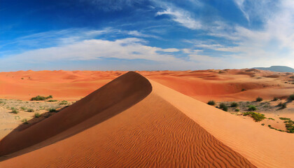 Fototapeta na wymiar Panorama of desert with red sand dune and blue sky
