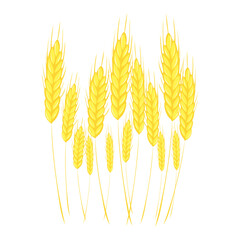 Bunch of wheat, vector illustration