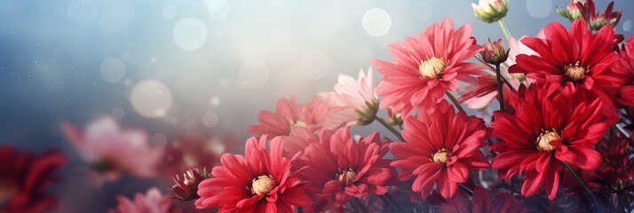 Fototapeta na wymiar Red chrysanthemum flower on isolated magical bokeh background with text space on left side