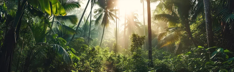 Papier Peint photo Panoramique Sun rays shining through the jungle