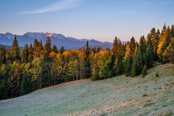 Fototapeta na wymiar Beautiful autumn evening on a pasture under rocky mountains with a wild forest, a beautiful yellow tree in the middle of a meadow and a colorful sky. High tatras NP, Poland, Slovakia