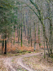 Obraz premium Waldweg im Winter