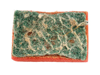 Old, used dishwashing sponge isolated on a white background.
