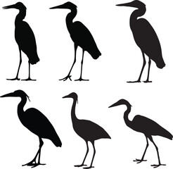 Black Heron Vector Art Stock.