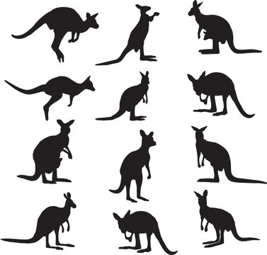 kangaroo silhouettes set