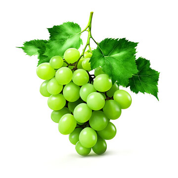 Fruit grapes branch on white background