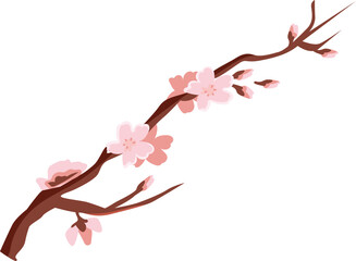 cherry blossom branch vector illustration on transparent background 