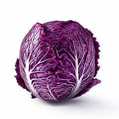Obraz premium Fresh red cabbage isolated on white background 