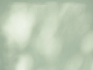 Obraz premium Abstract shadow of leaves on a green wall, overlay effect for photo, mock up, product, wall art, design presentation