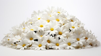 a mound of daisy petals, their pristine white petals forming a captivating contrast against the backdrop of an immaculate, untouched white background.