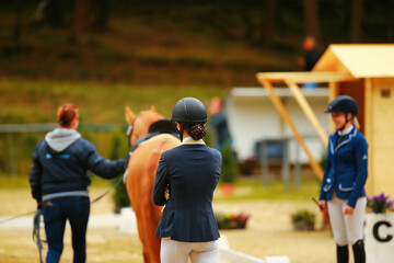 Horse dressage, dressage horse being presented for the aptitude test, rider from behind looking at...