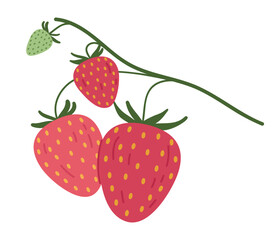 Strawberry branch. Edible red berries for healthy nutrition, hand drawn juicy delicious forest strawberries flat vector illustration. Fresh strawberries on twig
