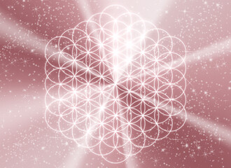 Flower of life - Sacred geometry - Pink gradient 