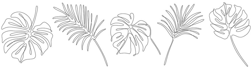 Abstract set of tropical leaves. Black and white engraved ink art continuous line. Isolated leaf illustration element on white background. © ARTSTOK