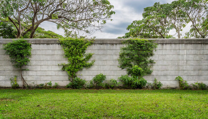 Fototapeta na wymiar Concrete wall block with trees