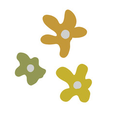 colorful floral decoration on white background