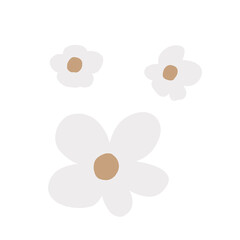 colorful floral decoration on white background
