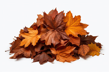 Naklejka na ściany i meble Pile of autumn leaves isolated on white background