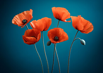 Five red poppies against blue background, in the style of soft and dreamy atmosphere, night photography, color splash, wimmelbilder, selective focus, shaped canvas, dark orange and light emerald

