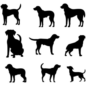 Vector set of cat silhouette. Cat hand drawing animals set and vector illustration