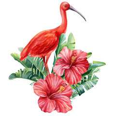 Tropical flowers, palm leaves and ibis bird. Jungle botanical watercolor illustrations, monstera, palm leaves, hibiscus